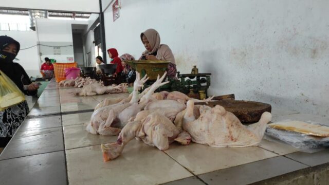 Daging Ayam, Ikan, Sapi dan Kambing, Mana yang Punya Gizi Paling Banyak?
