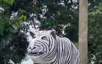 Patung Macan Putih ‘Gendut’ Bikin Warganet Ngakak