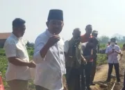 Genjot Produktivitas, Bupati Jember Tinjau Irigasi Pertanian di Jenggawah