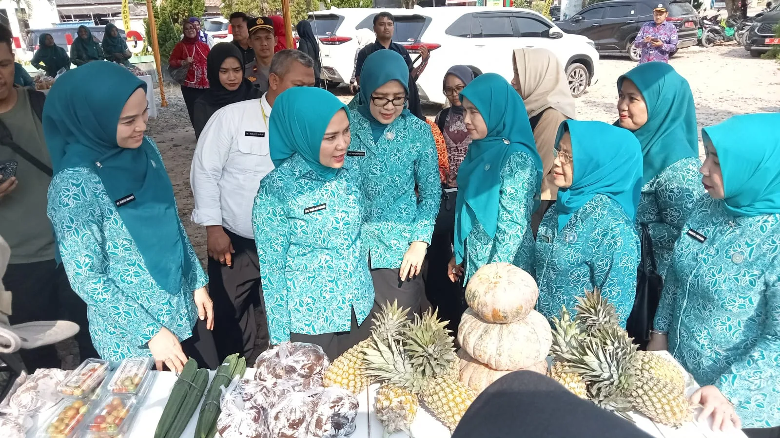 Desa TAPIS Resmi Dicanangkan di Penawar Aji, Ketua TP-PKK Lampung Tegaskan Pemberdayaan Keluarga Harus Berbasis Potensi Lokal Kampung Tapis
