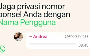 Lupakan Nomor HP, WhatsApp Kini Resmi Luncurkan Fitur Username!